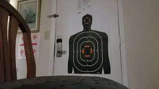 ELMS Laser Target System and Ruger LCP APP Review