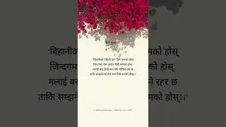 Good Morning 🌞 #lovelines #poetry #muktak #gajal #sayari #fyp #goodmorning