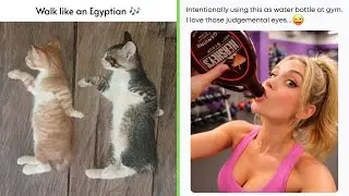 Funny Memes 118 | Walk like an Egyptian