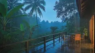 End Midnight Wake with Jungle Rain at a Forest Cabin and Gentle Thunder Rolls to Calm Your Mind 🌧️