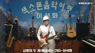사랑이 두 개(배금성) / 기타 / 이석화