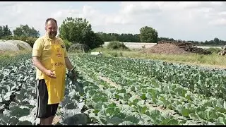 La variet&agrave; delle verdure estive