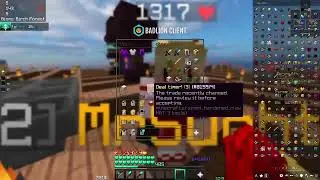 Skyblock ratting guide