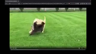 🤯 AI Video Generator in Ai Zolo &ndash; Create Videos Using AI in Minutes
