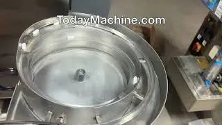 Screw Hardware Counting Packing Machine with Screw Vibration Plate