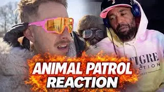I Get The Prof Hype Now... Animal Patrol Reaction