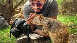 Animals Catch Photographers by Surprise in the Funniest Ways 🤪 Funny Animal Videos