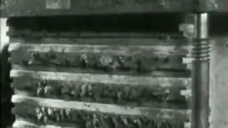 cigar making