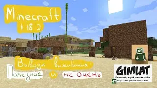 Выводы по выживанию в Minecraft: Java Edition (1.18.2)