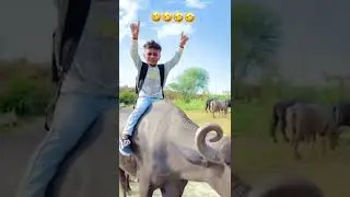 Desi dhol moj#tappuparmar #shorts_ #viral_ #trending_ #short_ #comedy_