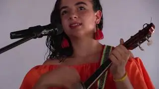 Disfruta la presentación del disco de Las Mariposas Huastecas en Tantoyuca (parte 2)