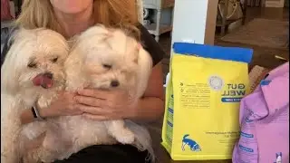 Native Pet Probiotics For All Your Pets Needs! #ad