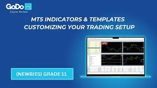 MT5 Indicators & Templates - Customize Your Trading Setup