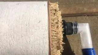 Rug Sucker Removing Extracting Urine From A Shaggy Pee Filled Area Rug