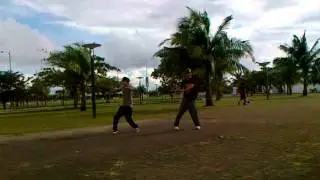 16012010029
