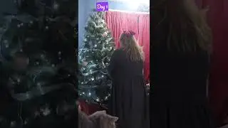 #vlogmas Day 1 Decorating the Christmas Tree 🎄!