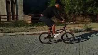 BIG FAKIE BMX