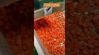 Potatoes Carrot Cube Cutting Machine#cubepotato#carrotcutter#vegetablecuttingmachine