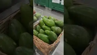 Laporan Video Prakerin ( PKL ) 2025/2026 | ANDINI CITRA BINTARI 04 XII BRTL 2 | SMKN 1 KOTA MALANG