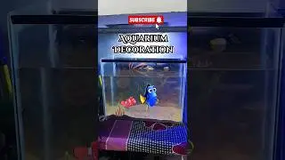 Tank decorating #vlog #shortsfeed #trending #youtubeshorts #shorts #facts #viral #reels #share #fish