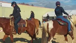 Cheval Passion 2023 : l'&eacute;quitation Western (18/01/2023)