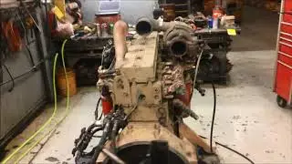 2003 Cummins ISC Engine