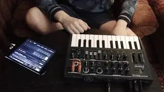 Arturia Microbrute jam PashaSV