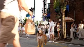 Boulevard American Bistro celebrating White Linen Night