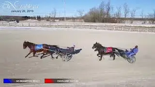 MS BRAMPTON BEAST, EXCELLENT NATION - DRONE - 1/26/2019