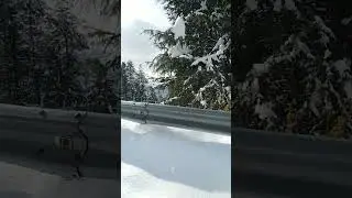 Snowfall January 16, 2023 || Snowfall's in Shangla #snowfall #cr7 #adventure