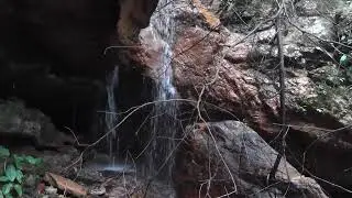 Calming Small Waterfall Sounds in the Forest for Relaxation #naturesounds #asmr #relaxingsounds 
