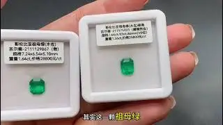 蝴蝶效应的哥伦比亚祖母绿丝绒感，而且还是极微油！