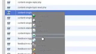 Move a BBPress Forum Template To Your Genesis Child Theme