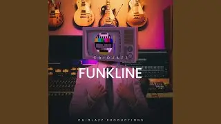 The Funk Don&rsquo;t Stop