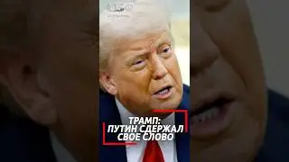 Почему Трамп доволен Путиным после атаки России на энергетику Украины?