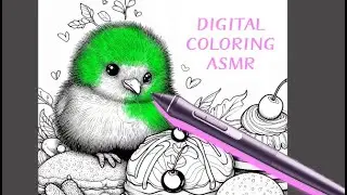 Coloring Cute Kiwi Bird. Digital painting, tablet pen sounds ASMR
