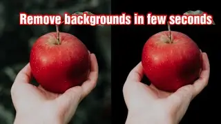 Remove any image background perfectly within few seconds