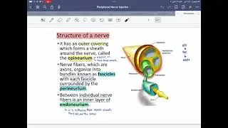 Peripheral nerve injury p1