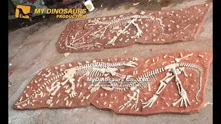 Dinosaur Fossil Cast | Dinosaur Fossil Wall | Dinosaur Fossil Dig Prop