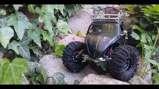 Bugger in the garden... SCX24, Meus, Injora, playmobil BugBody