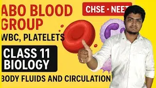 🩸 ରକ୍ତର ଗଠନ:WBC, Platelets, ABO Blood Group | Body Fluids & Circulation Odia | NEET + CHSE #biology 