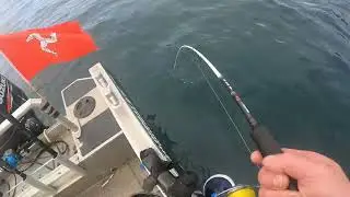 Coalie bashing in Sandland, Norway (great experience)