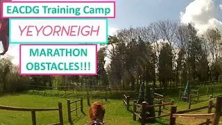 First time obstacle training!! (EACDG Training Days VLOG)