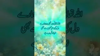 اللہ تعالیٰ کا ارشاد ہے.