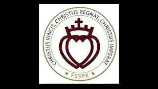 Die Liturgie - neue Messe erkl&auml;rt - Dr. Gregorius Hesse