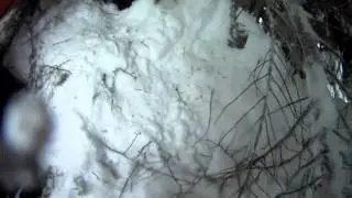 Rogers Pass Avalanche