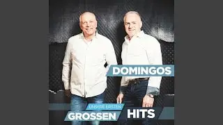 Ich flieg mit dir zu den Sternen (Radioversion)