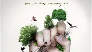 Exploring Eco Criticism: A Lens for Environmental Insights