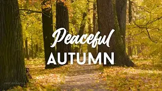 🍁 Autumn Trees | Soothing Instrumental Music, Relaxing Piano For Sleep,  Study Music,