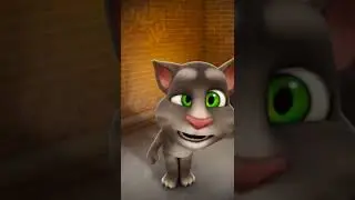 Talking Tom Cat Slow Motion